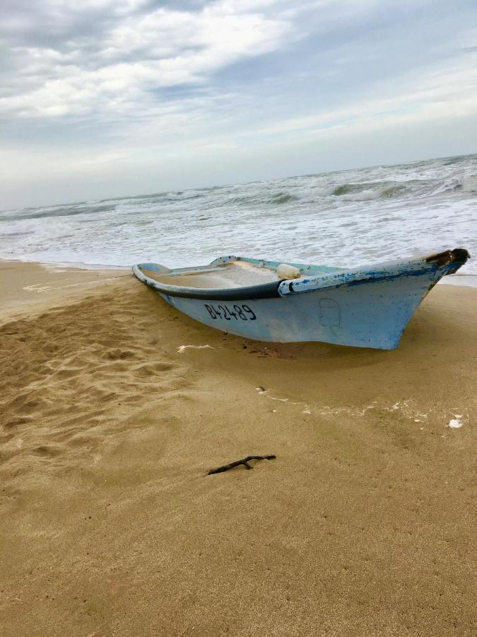 Beach, Wine, Dining, Sports, Summer, Winter Apartment Serignan Bagian luar foto
