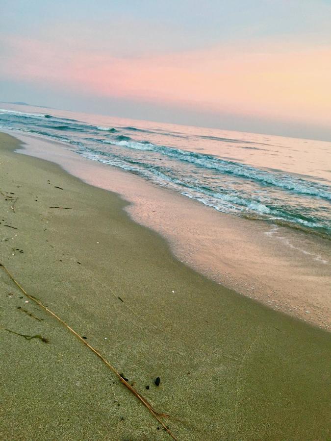 Beach, Wine, Dining, Sports, Summer, Winter Apartment Serignan Bagian luar foto