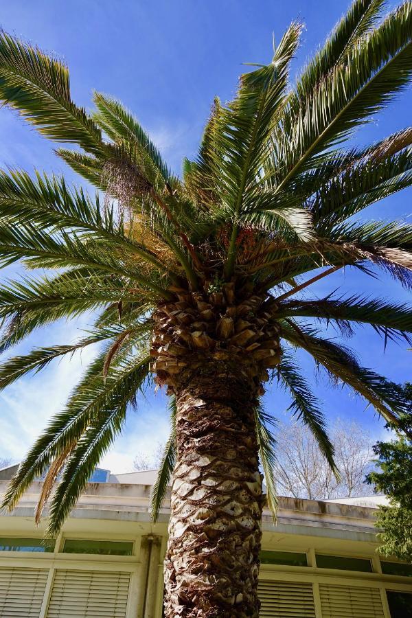 Beach, Wine, Dining, Sports, Summer, Winter Apartment Serignan Bagian luar foto